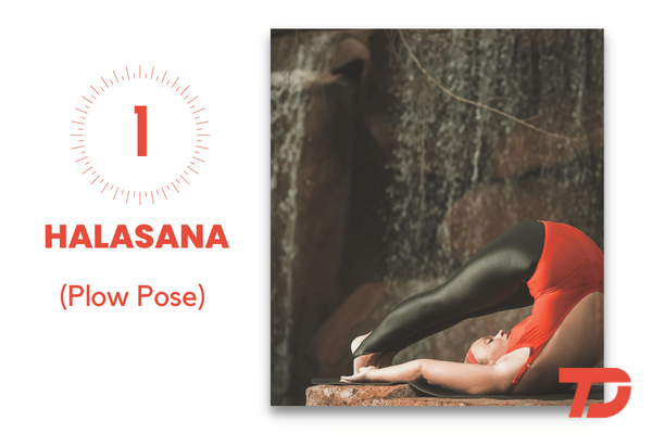 Halasana (Plow Pose) - Yoga Asana