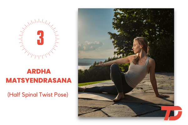 Ardha Matsyendrasana (Half Spinal Twist Pose)